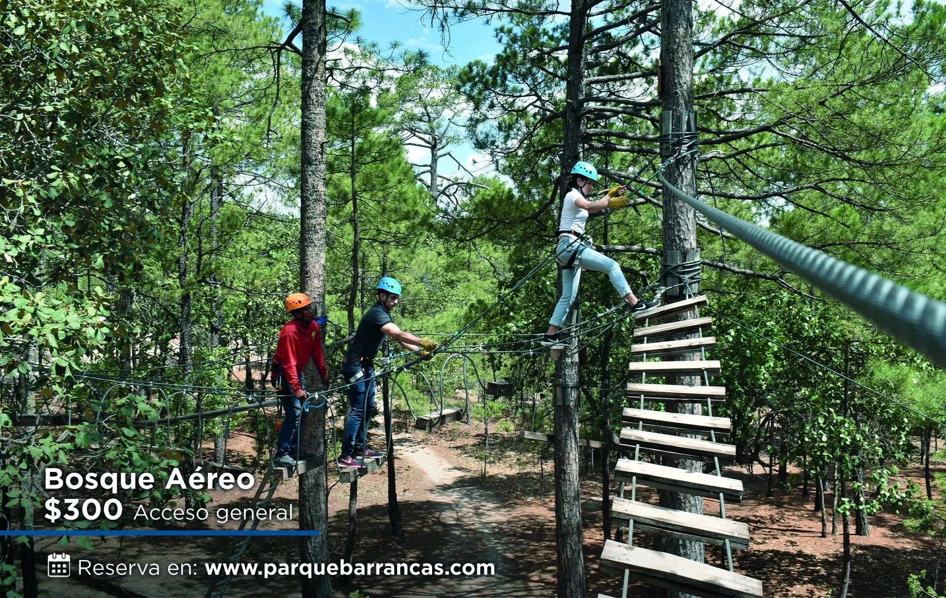 Bosque aéreo con obstáculos